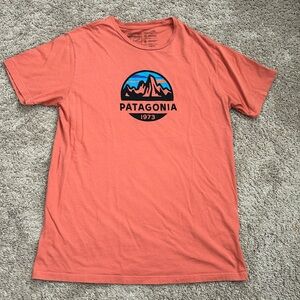 Mens Patagonia tee